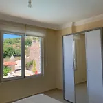 Begon Αλάνια