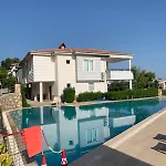 Begon * Αλάνια