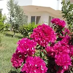Begon Βίλα Αλάνια