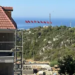 Begon Αλάνια