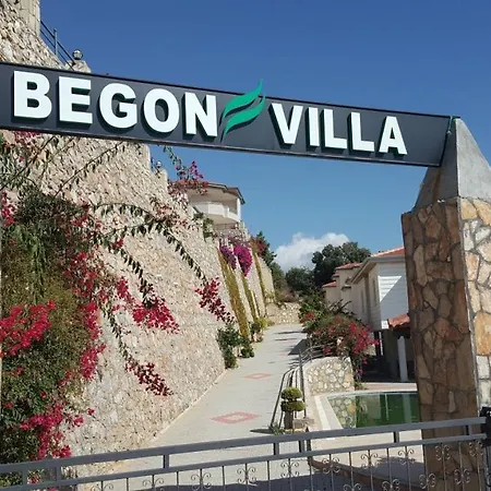 Βίλα Begon Αλάνια