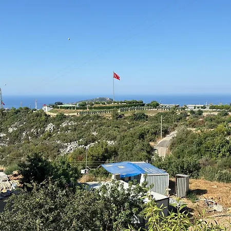 Βίλα Begon Αλάνια