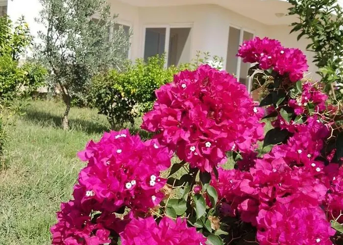 Begon Villa Alanya