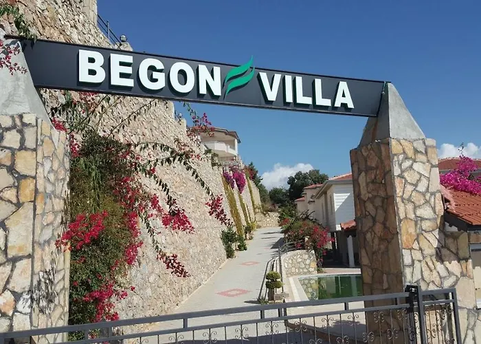 فيلة Begon ألانيا